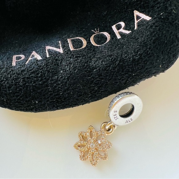 Exquisite Pandora 14K Gold & Sterling 2-Tone Lace Botanique Dangle Charm RARE - Picture 5 of 9
